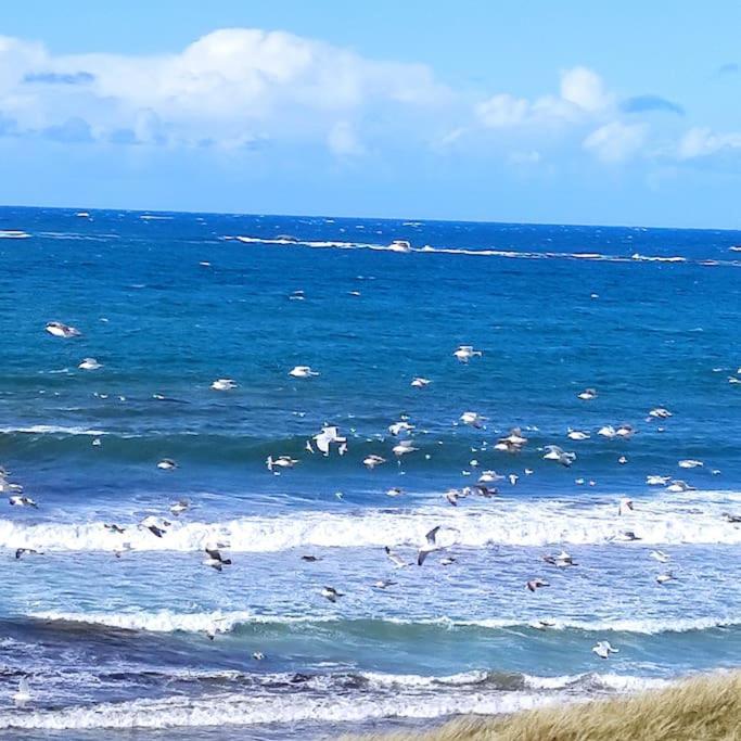 Gite Kerbourc'H Charmant Et Confortable, Mer Et Plages A 3Km, Ploudalmezeau Ploudalmézeau Exterior foto